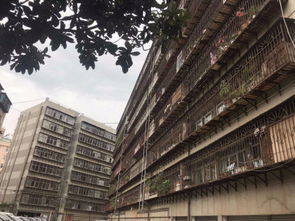 云南地質工程勘察設計研究院宿舍工程勘察實踐與探索